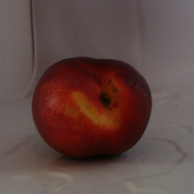 Nectarine Bio - Du Panier &agrave; l'Assiette