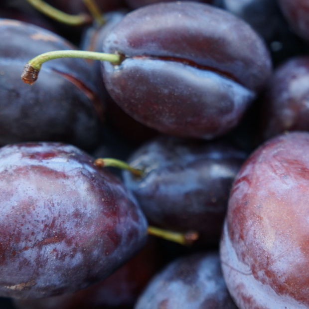 Prune Bio - Du Panier à l'Assiette
