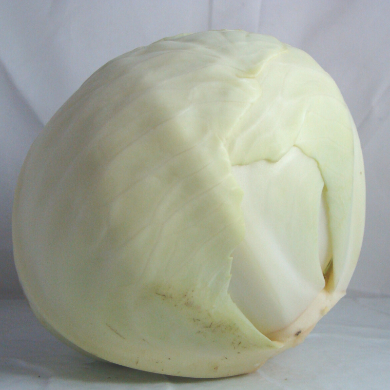 chou blanc breton bio- Du Panier à l'Assiette