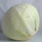 chou blanc breton bio- Du Panier à l'Assiette