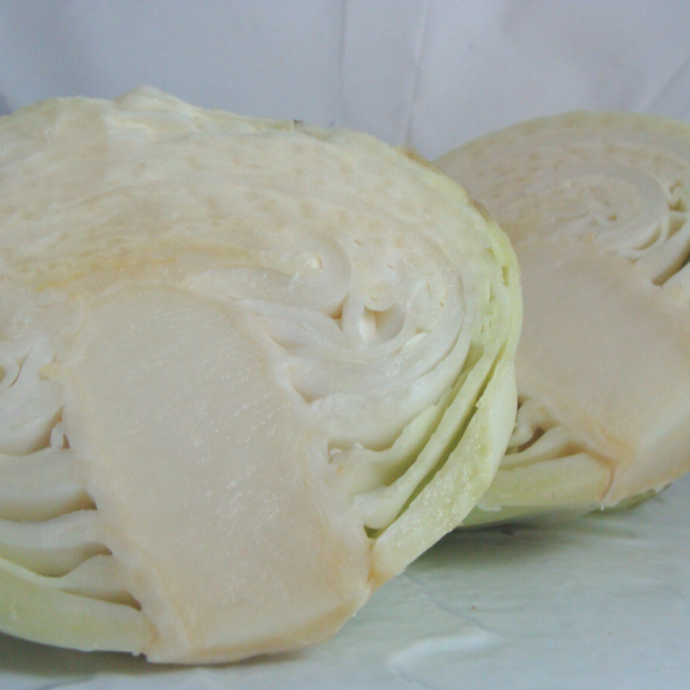 chou blanc breton bio- Du Panier à l'Assiette