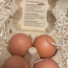 Oeuf Bio - Du Panier à l'Assiette