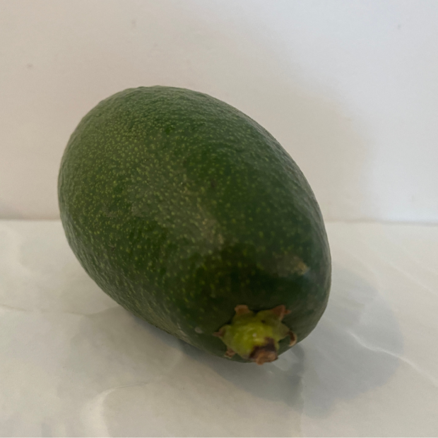 Avocat Bio - Du Panier à l'Assiette