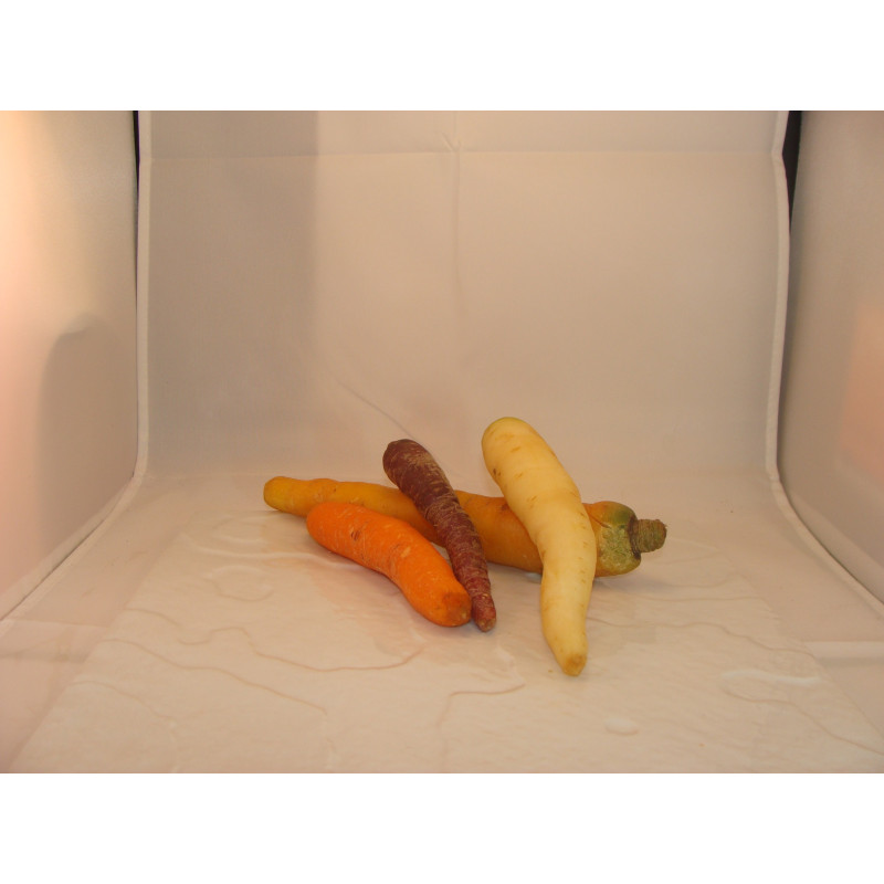 carotte non lavée bio- Du Panier à l'Assiette