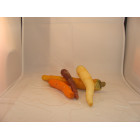 carotte non lavée bio- Du Panier à l'Assiette