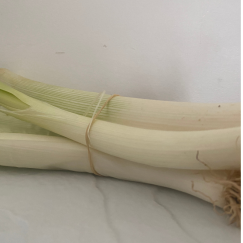 Blanc de Poireau x 500g