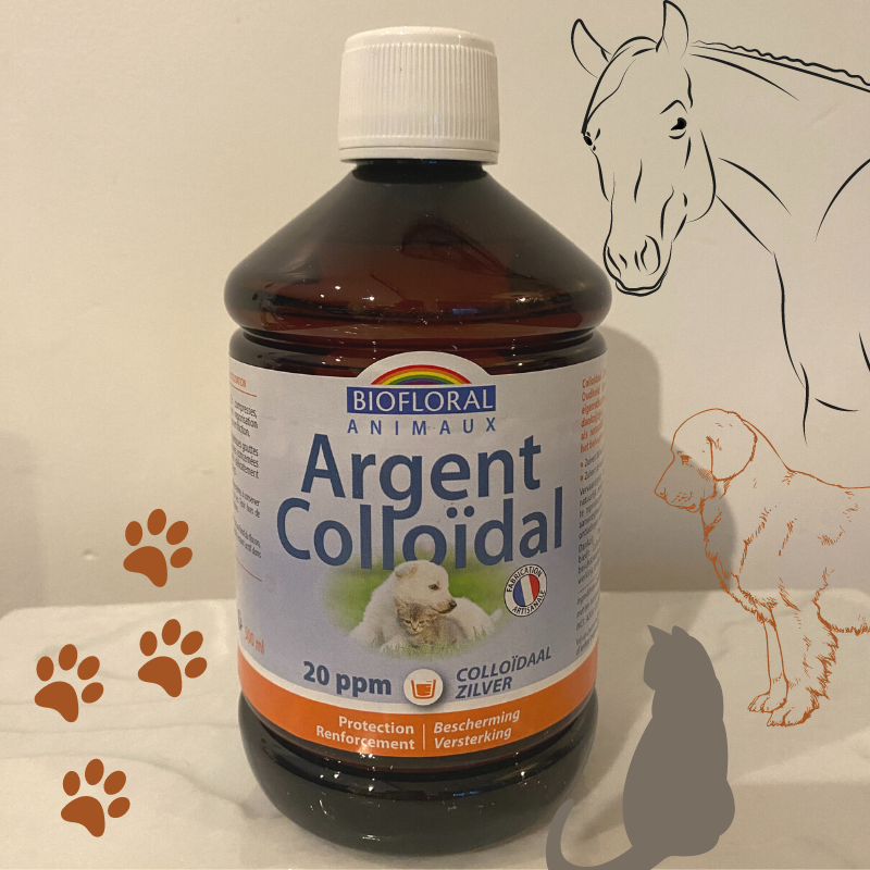 Argent Colloïdal - Du Panier à l'Assiette Argent Colloïdal - Du Panier à l'Assiette