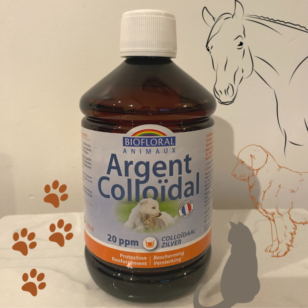 Argent Colloïdal - Du Panier à l'Assiette