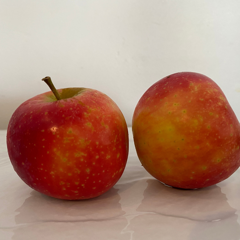 Pomme Ariane Bio - Du Panier à l'Assiette Pomme Ariane Bio - Du Panier à l'Assiette