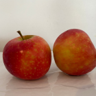 Pomme Ariane Bio - Du Panier à l'Assiette Pomme Ariane Bio - Du Panier à l'Assiette