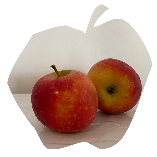 Pomme Ariane Bio - Du Panier &agrave; l'Assiette