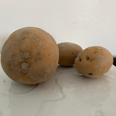 Pomme de terre spécial Frites x 1kg
