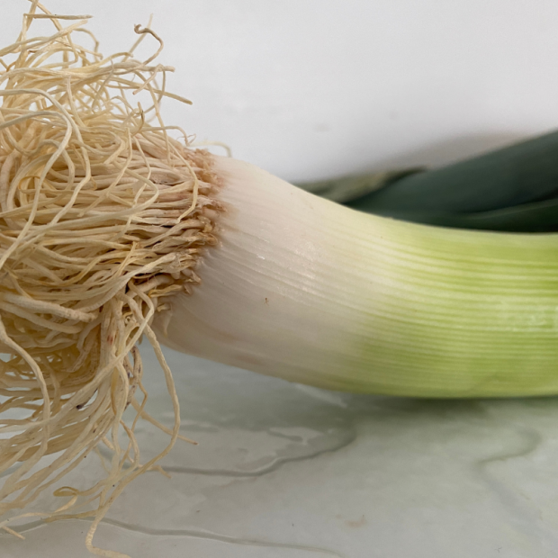 poireau bio- Du Panier à l'Assiette