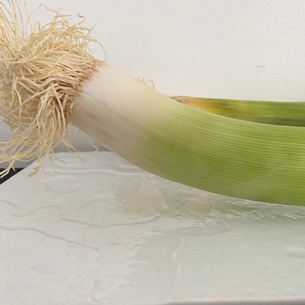 poireau bio- Du Panier à l'Assiette