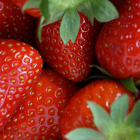 Fraise bio- Du Panier à l'Assiette Fraise bio- Du Panier à l'Assiette