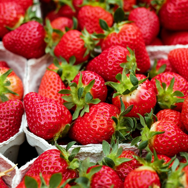 Fraise bio- Du Panier à l'Assiette Fraise bio- Du Panier à l'Assiette