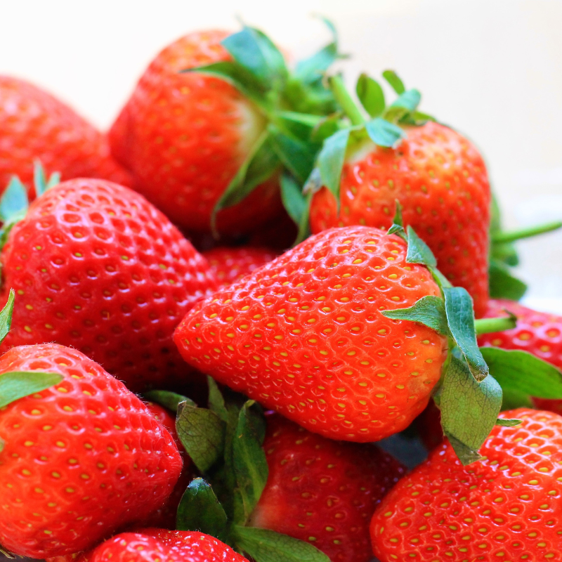 Fraise bio- Du Panier à l'Assiette Fraise bio- Du Panier à l'Assiette