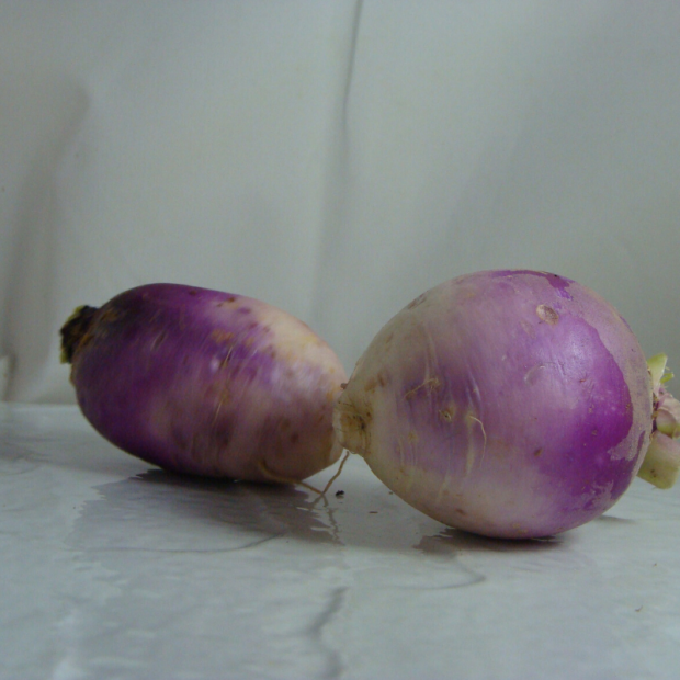 navet violet bio- Du Panier à l'Assiette