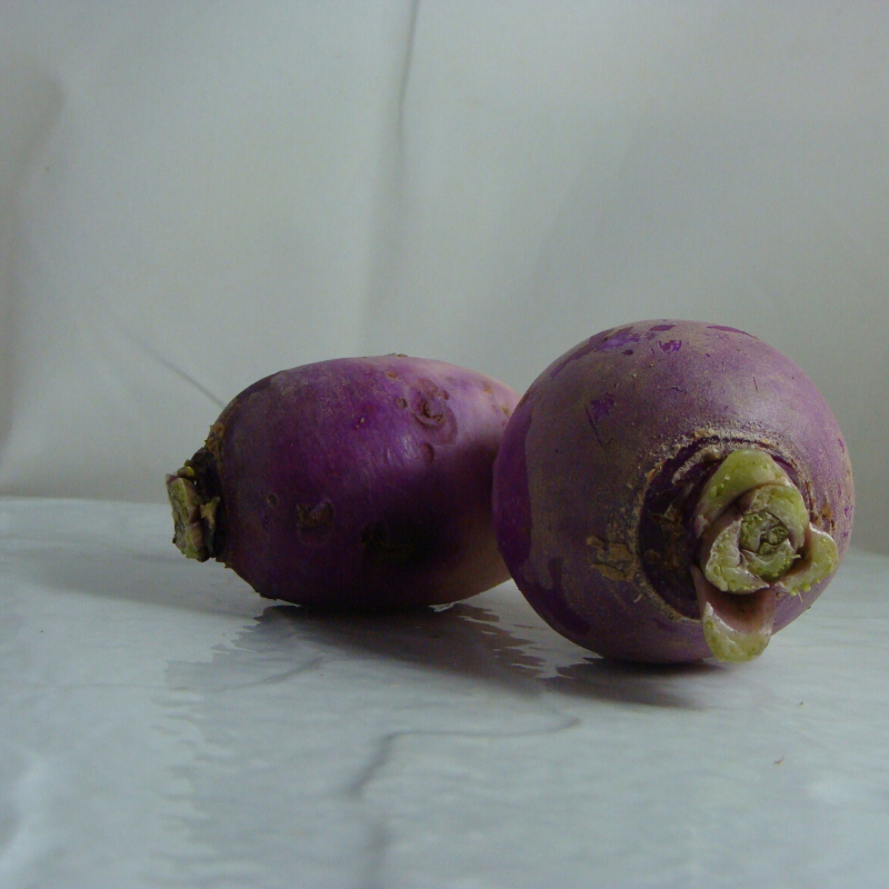 navet violet bio- Du Panier à l'Assiette navet violet bio- Du Panier à l'Assiette