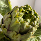 artichaut bio- Du Panier &agrave; l'Assiette