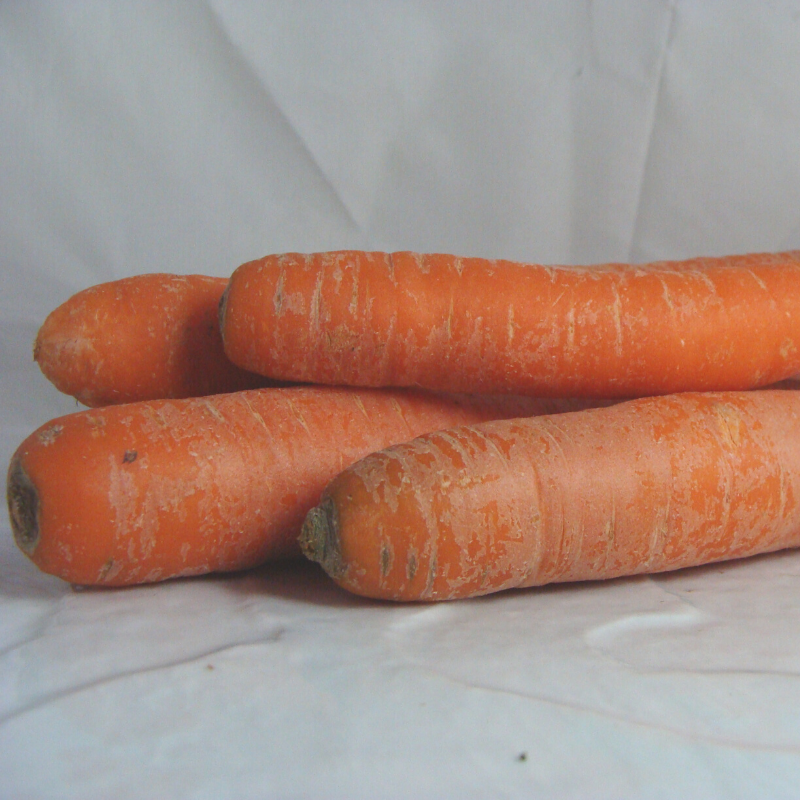 carotte non lavée bio- Du Panier à l'Assiette carotte non lavée bio- Du Panier à l'Assiette