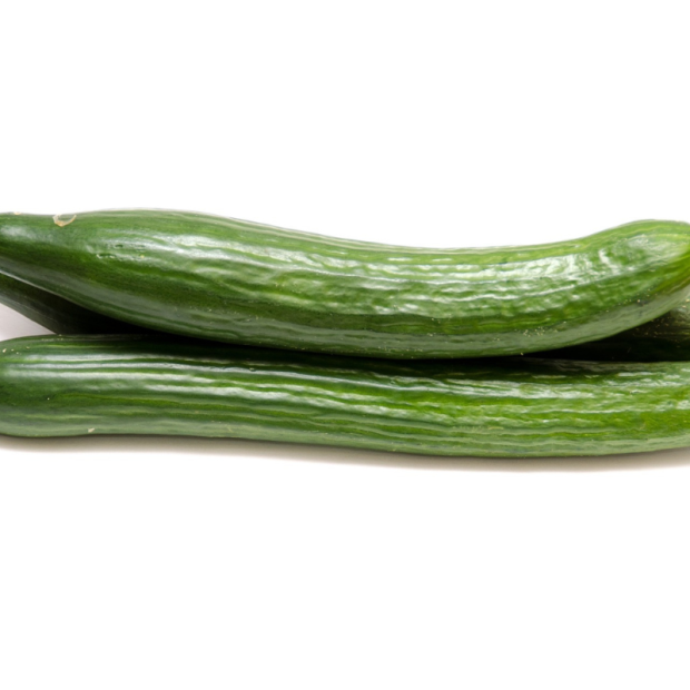 concombre bio- Du Panier à l'Assiette