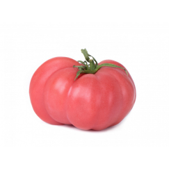 Tomate Côtelée x 500g