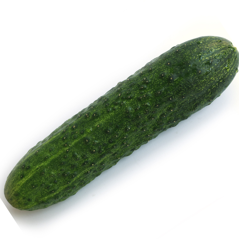 concombre bio- Du Panier &agrave; l'Assiette