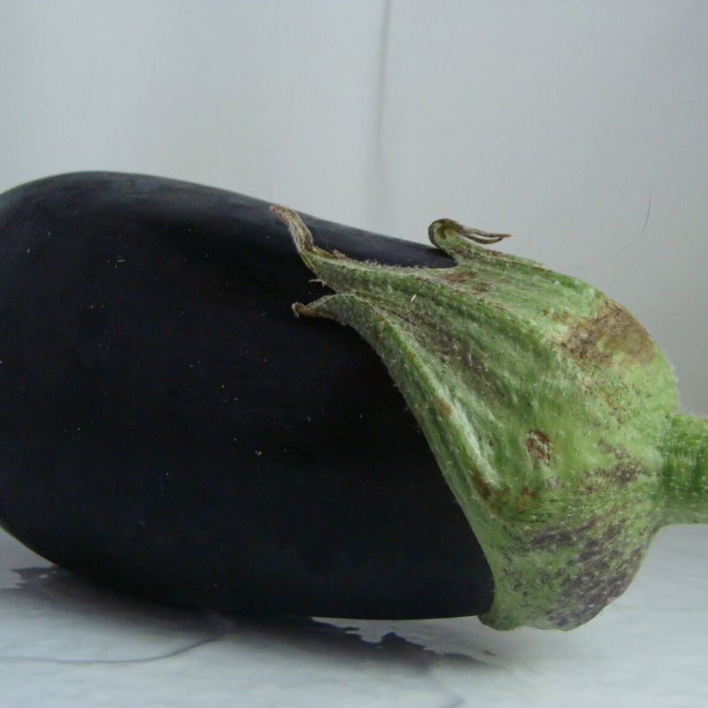 aubergine bio- Du Panier à l'Assiette aubergine bio- Du Panier à l'Assiette