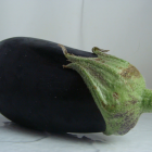 aubergine bio- Du Panier à l'Assiette aubergine bio- Du Panier à l'Assiette
