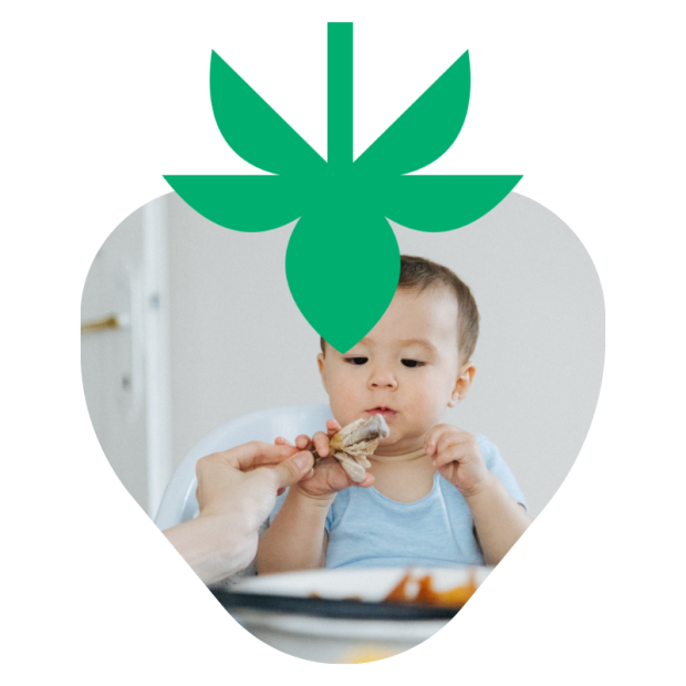 Panier Bébé Bio - Du Panier à l'Assiette