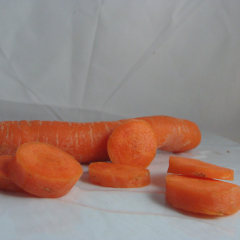 Carotte x 1kg * Promo*