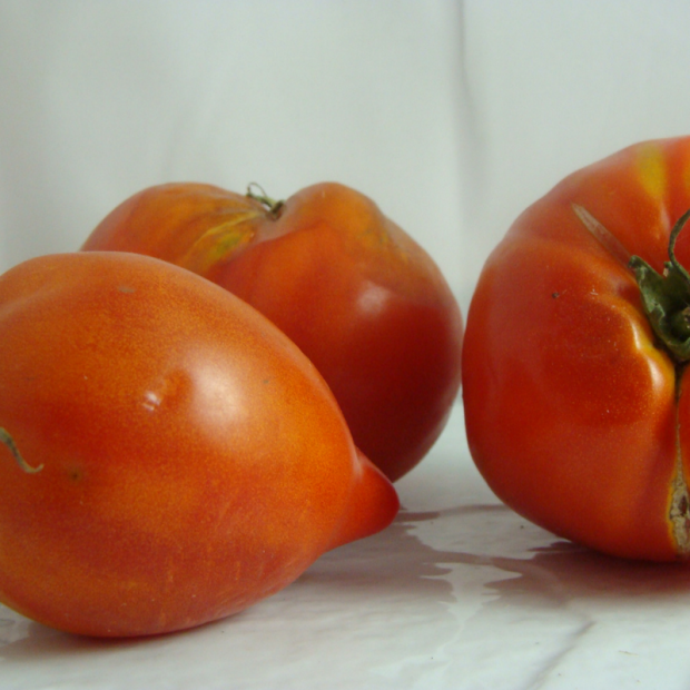 tomate bio- Du Panier &agrave; l'Assiette