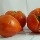 tomate bio- Du Panier à l'Assiette tomate bio- Du Panier à l'Assiette