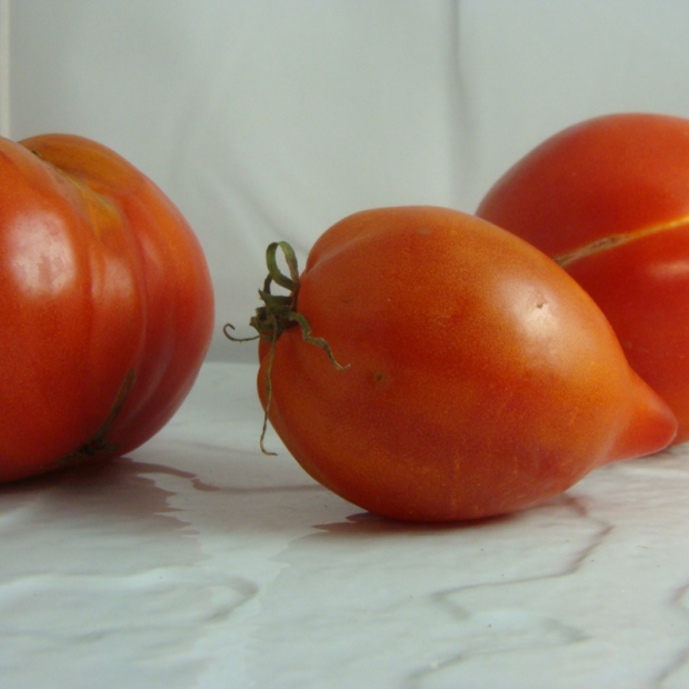 tomate bio- Du Panier à l'Assiette