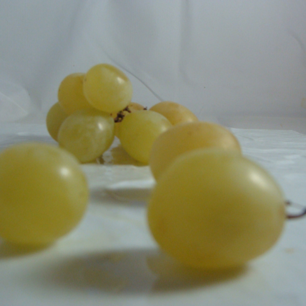 Raisin Italia Bio - Du Panier à l'Assiette