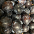 Prune Bio - Du Panier à l'Assiette Prune Bio - Du Panier à l'Assiette
