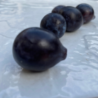 Prune Bio - Du Panier à l'Assiette Prune Bio - Du Panier à l'Assiette
