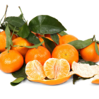 Clémentine Bio - Du Panier à l'Assiette