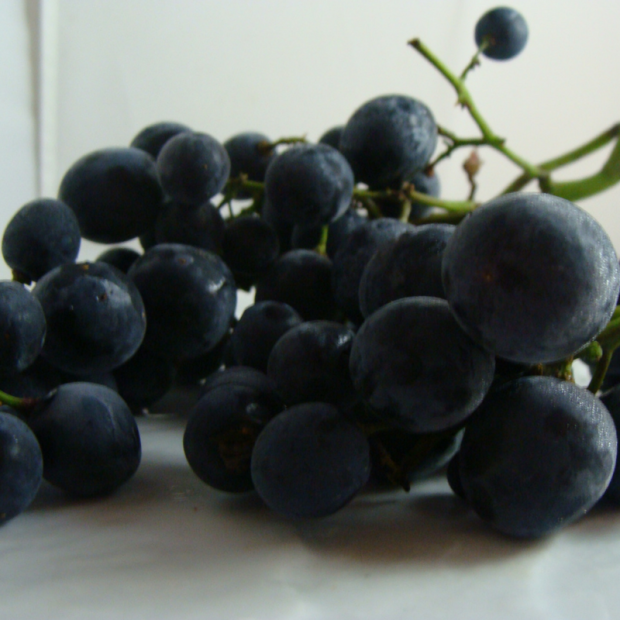 Raisin blanc Ora Bio - Du Panier à l'Assiette