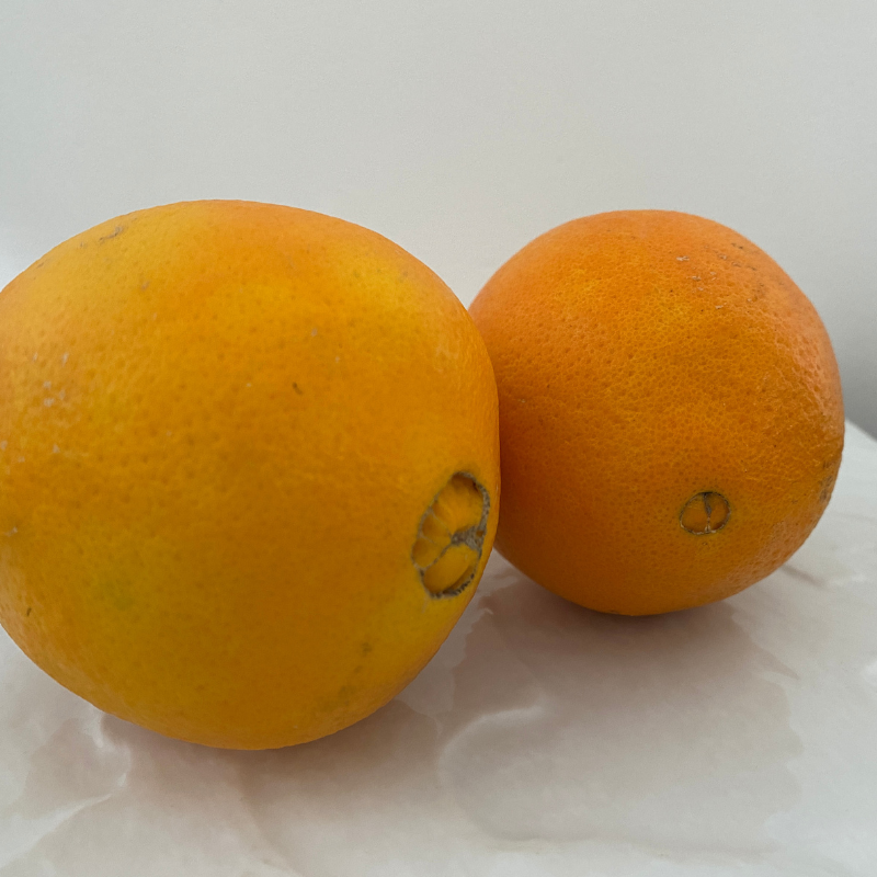 Orange Bio - Du Panier à l'Assiette