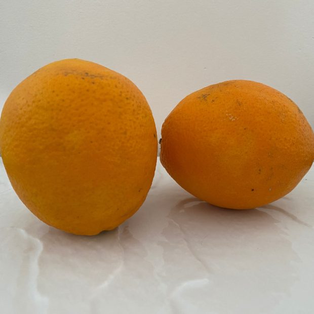 Orange Bio - Du Panier à l'Assiette