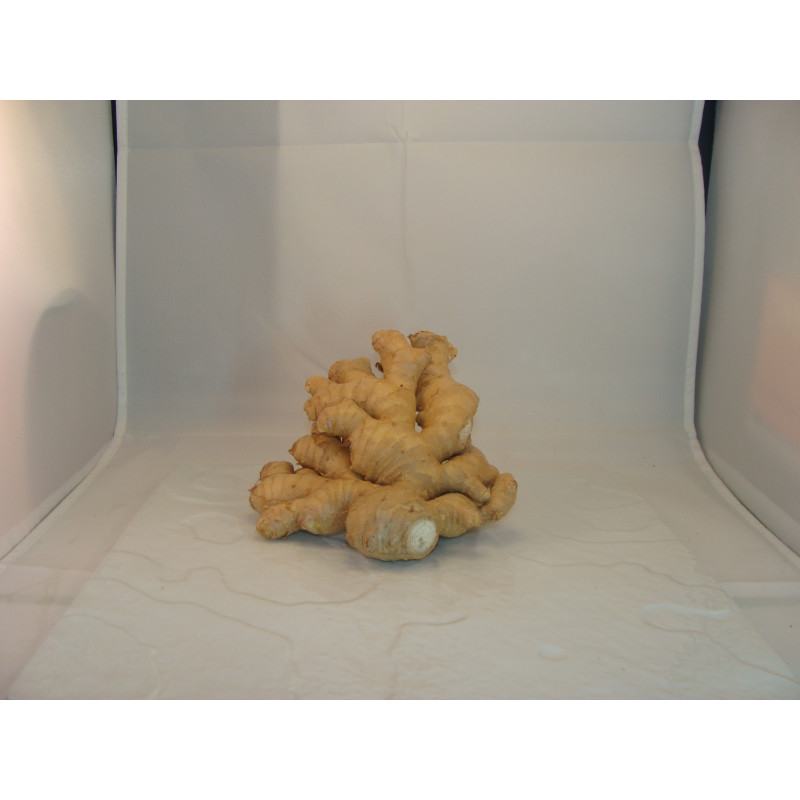 Gingembre Bio - Du Panier à l'Assiette Gingembre Bio - Du Panier à l'Assiette