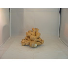 Gingembre Bio - Du Panier à l'Assiette