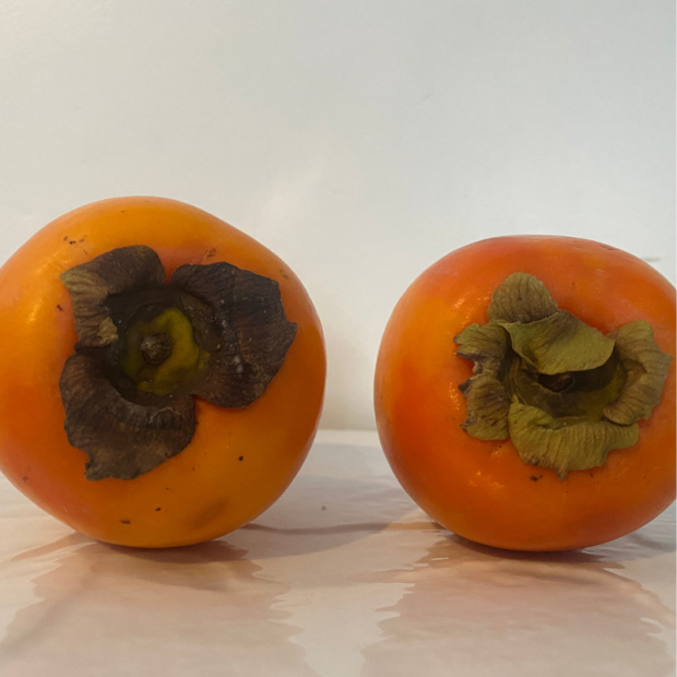 Kaki Bio - Du Panier à l'Assiette
