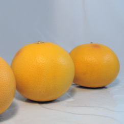 Lot de 3 pomelos roses + 1 gratuit