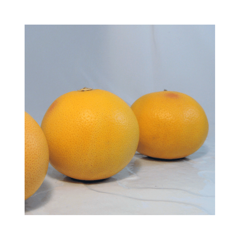 Pomelos roses lot Bio - Du Panier à l'Assiette Pomelos roses lot Bio - Du Panier à l'Assiette