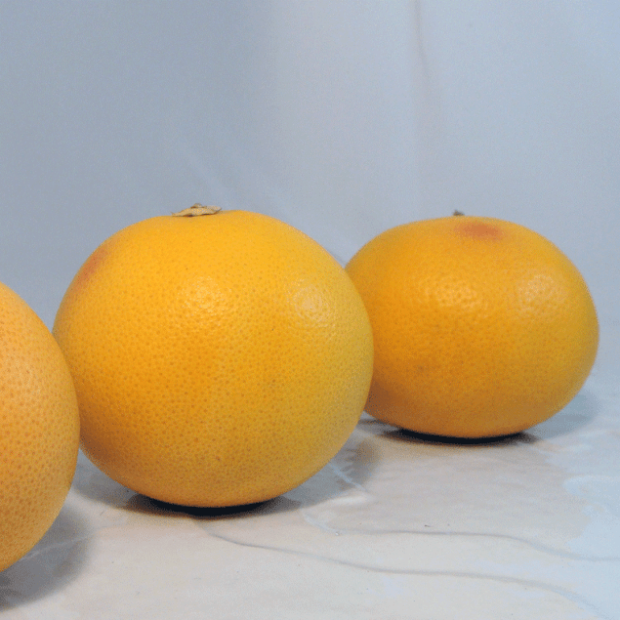 Pomelos roses lot Bio - Du Panier &agrave; l'Assiette