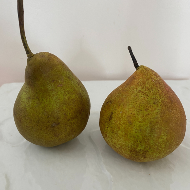 Poire Eliott - Du Panier à l'Assiette