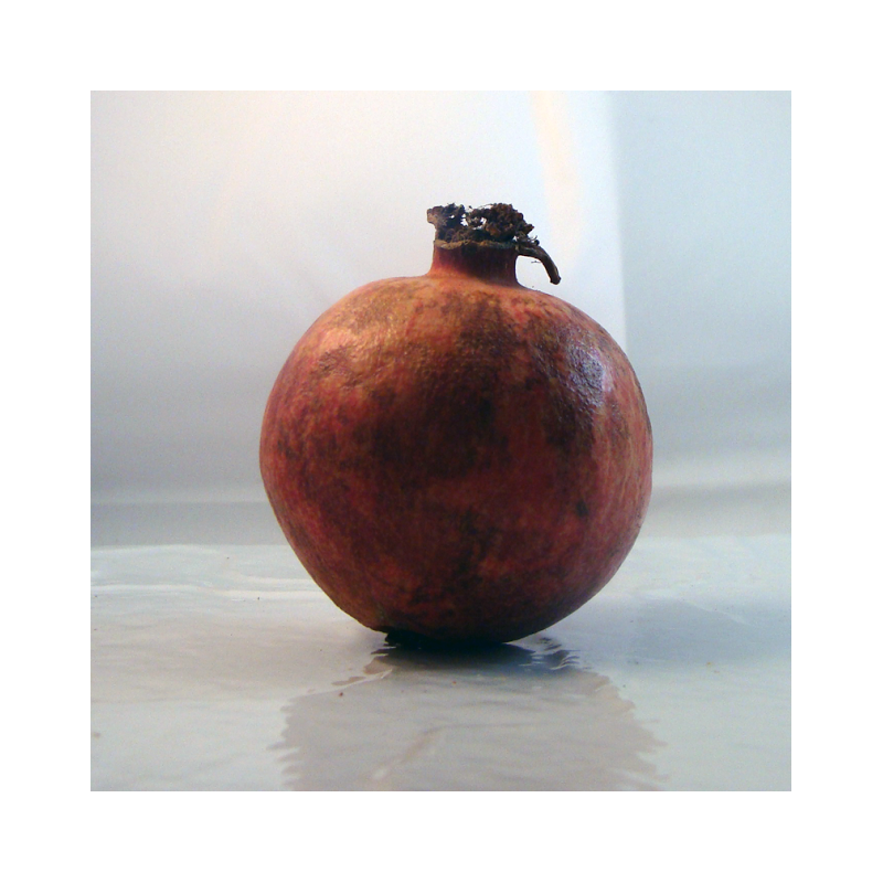 Grenade Bio - Du Panier à l'Assiette